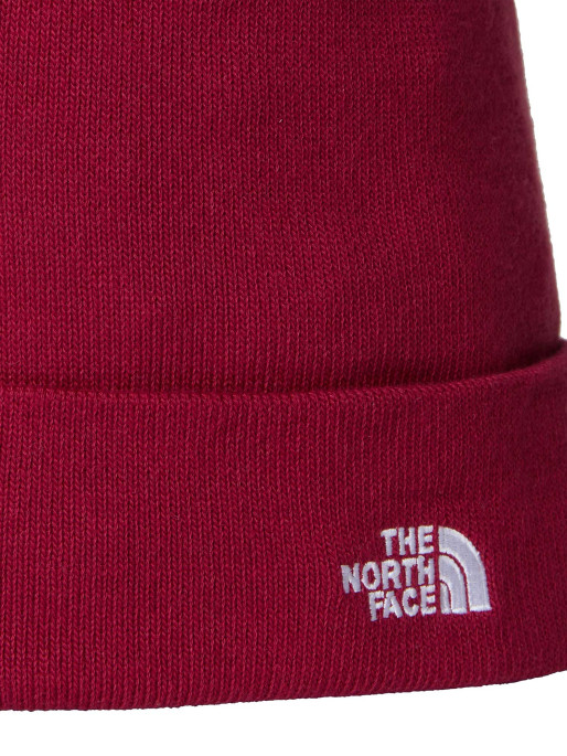 THE NORTH FACE Fes Norm