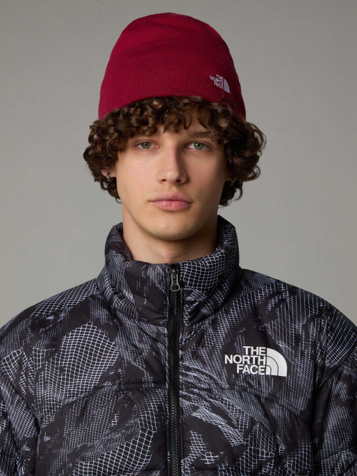 THE NORTH FACE Fes Norm