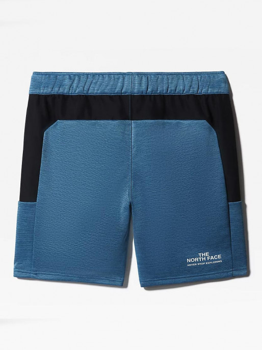 THE NORTH FACE M MA FLEECE Shorts