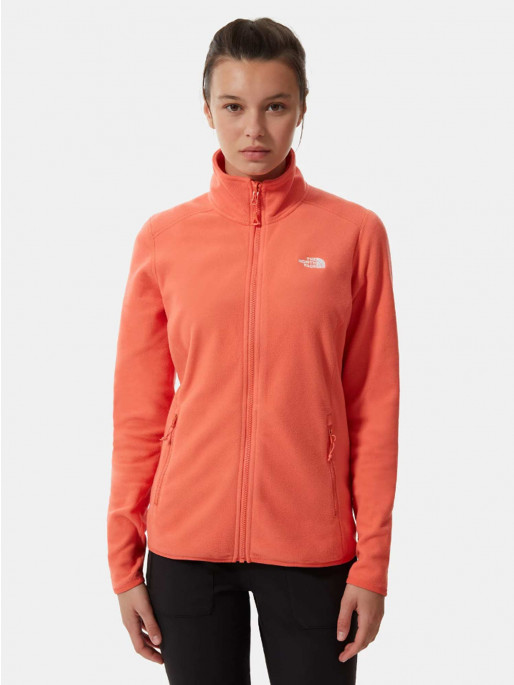 north face lightweight fleece