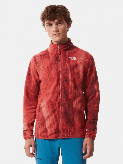 the north face free thinker