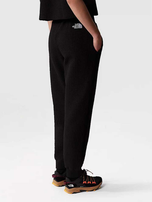 THE NORTH FACE W MHYSA PANTS