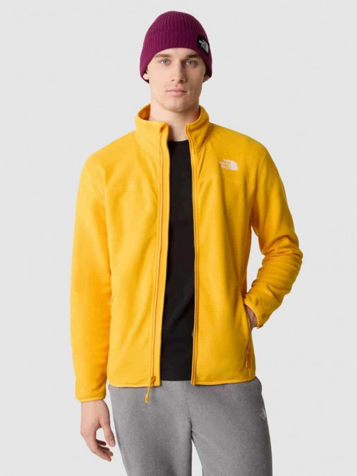 The north face m hot sale 100 glacier full zip