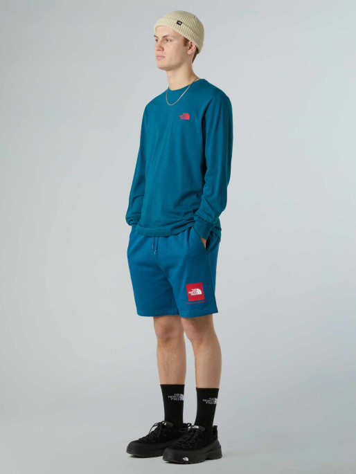 THE NORTH FACE