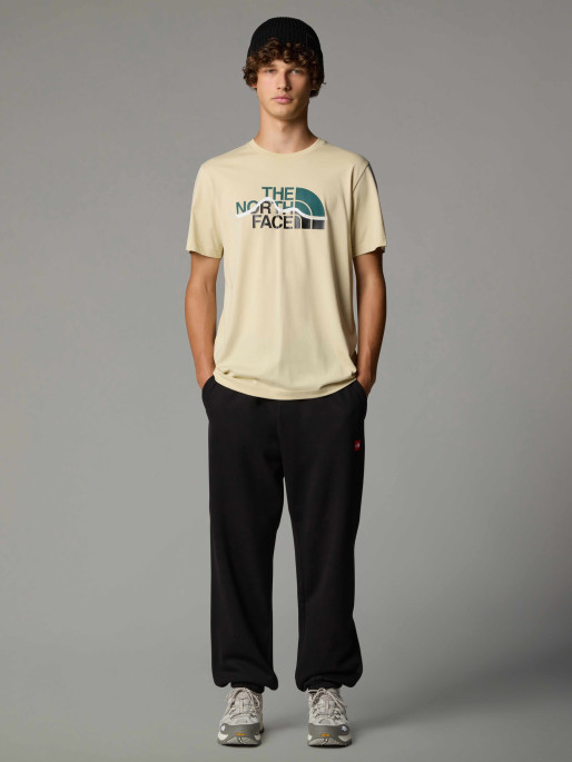 THE NORTH FACE M SS MOUNTAIN LINE TEE