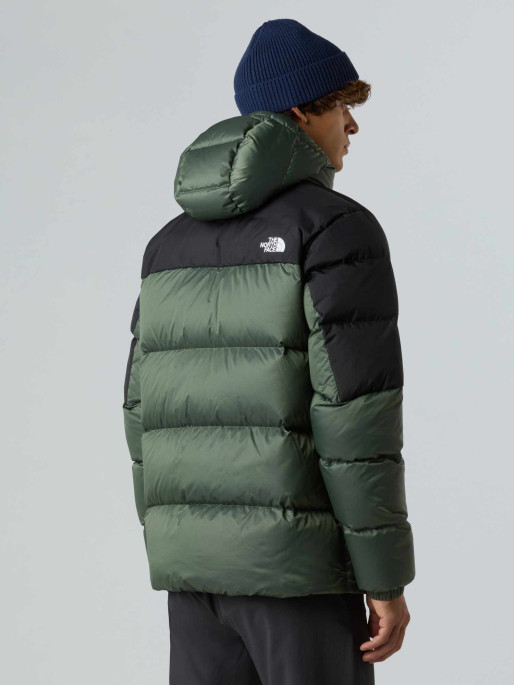 THE NORTH FACE