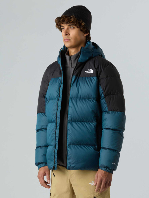 THE NORTH FACE