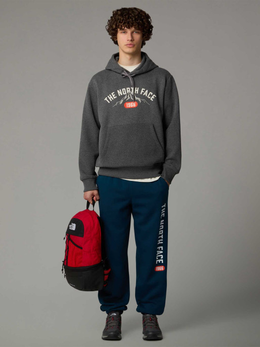 THE NORTH FACE M HOODIE VARSITY GRAPHIC