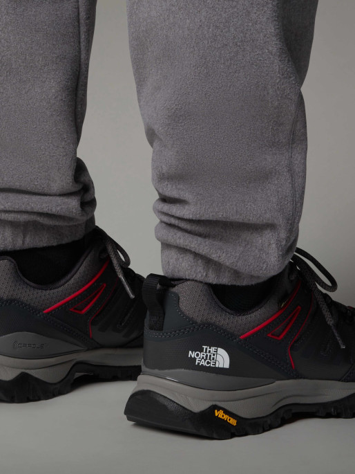 THE NORTH FACE M HEDGEHOG GORE-TEX