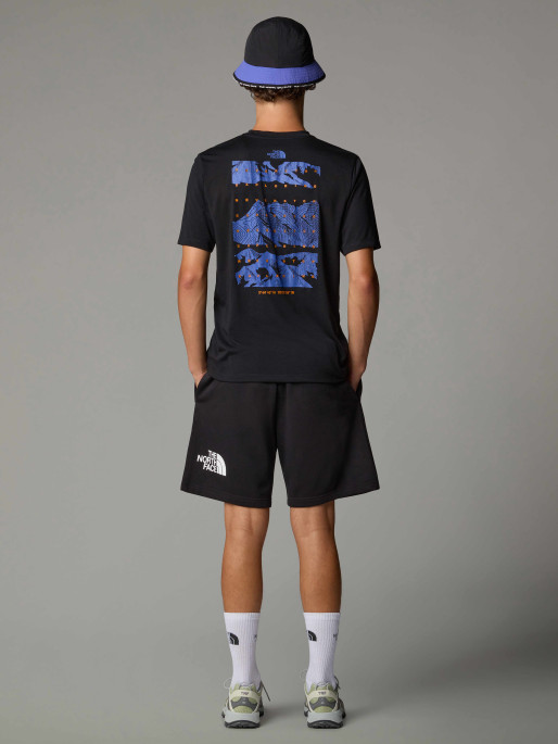 THE NORTH FACE M FOUNDATION MOUNTAINS FACES TEE