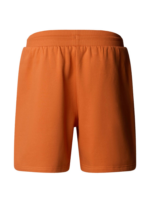 THE NORTH FACE M BOX NSE REGULAR SHORTS