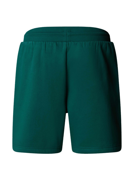 THE NORTH FACE M BOX NSE REGULAR SHORTS
