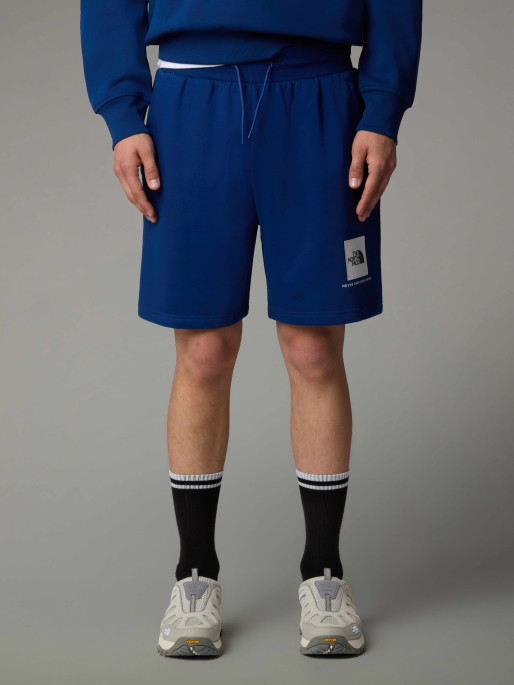 THE NORTH FACE M BOX NSE REGULAR SHORTS