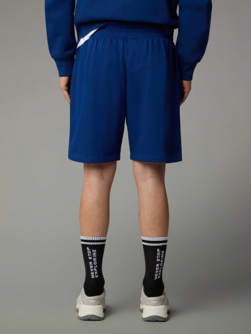 THE NORTH FACE M BOX NSE REGULAR SHORTS
