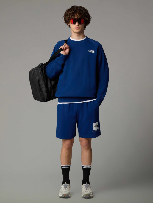THE NORTH FACE M BOX NSE REGULAR SHORTS