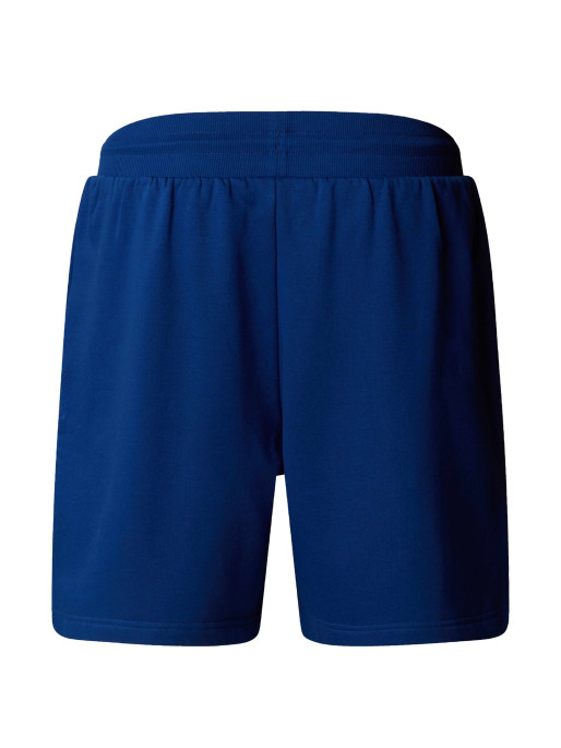THE NORTH FACE M BOX NSE REGULAR SHORTS
