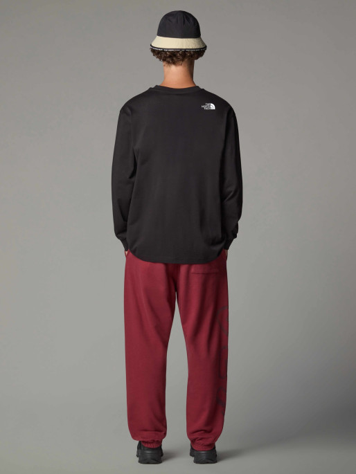 THE NORTH FACE U LS NSE OVERSIZED TEE