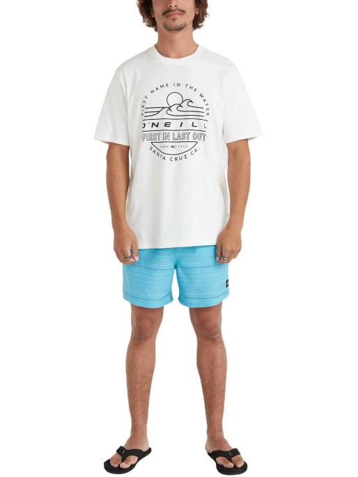 ONEILL T-shirt Muir