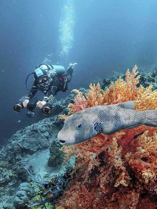 SUBLUE Seascooter WHITESHARK MIX PRO Black 122 Wh