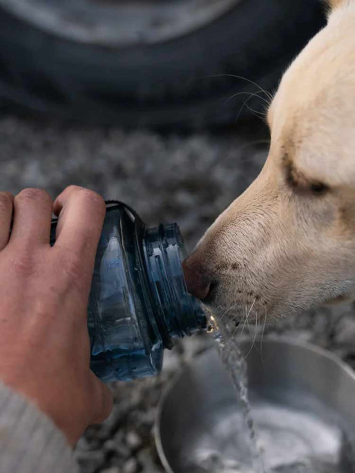 PRIMUS Бутилка Kvarts Tritan Bottle 1.0 L