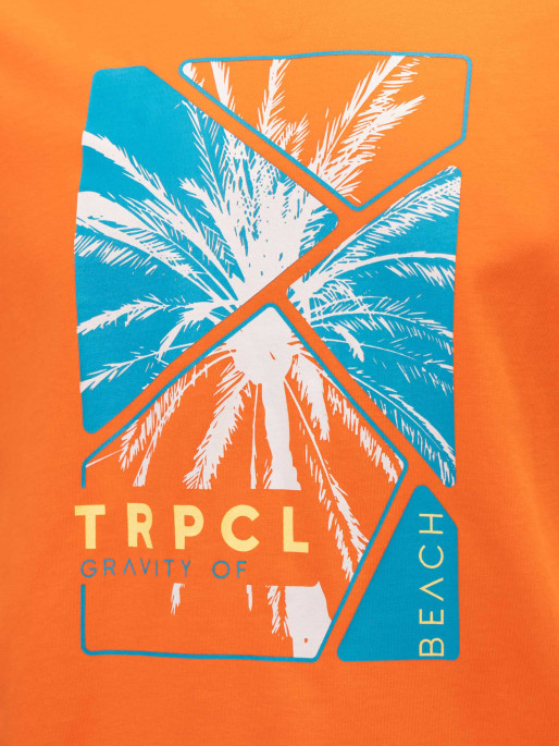 BRILLE Κοντομάνικη Μπλούζα TRPCL