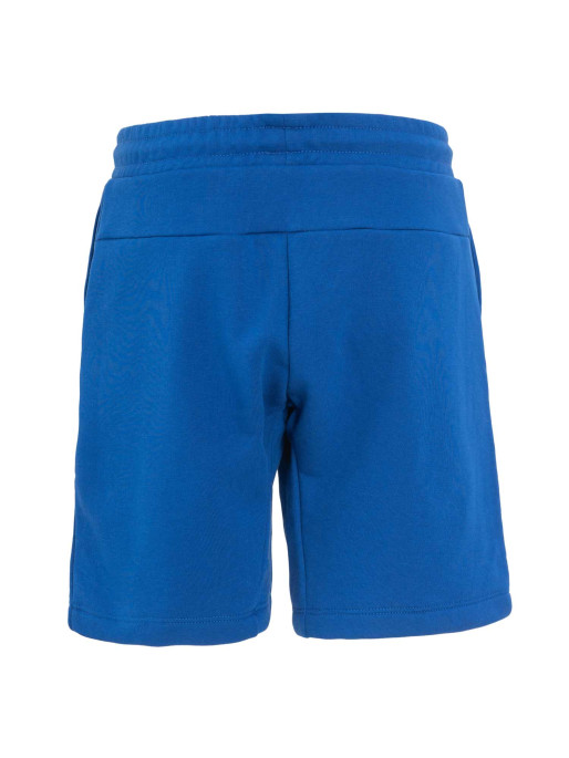 BRILLE Къси панталони Daren