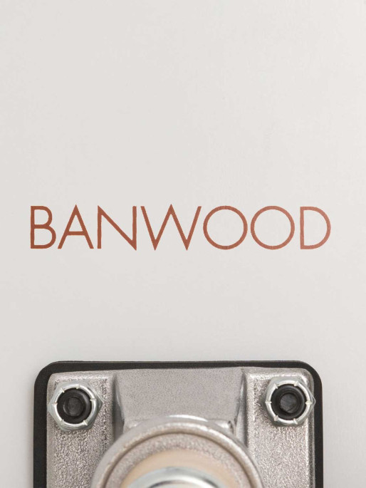 BANWOOD Skateboard