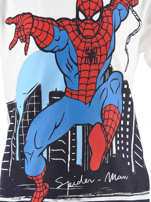 KIDS MOVIE HEROES SPIDERMAN Set