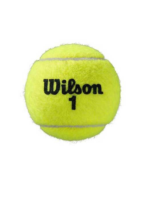 WILSON ROLAND GARROS ALL CT x4