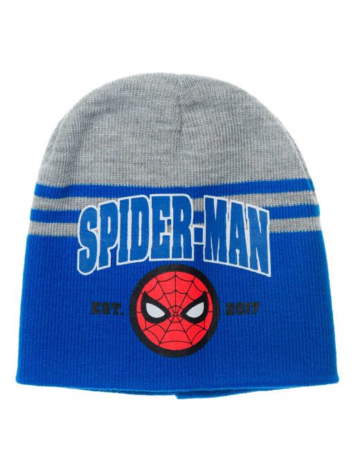 SUN CITY SPIDERMAN Beanie