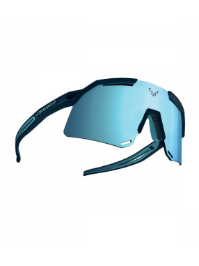 SALEWA Ultra Evo Sunglasses