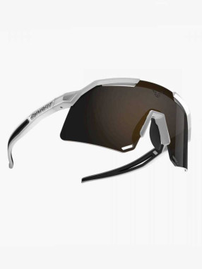 SALEWA Слънчеви очила Ultra