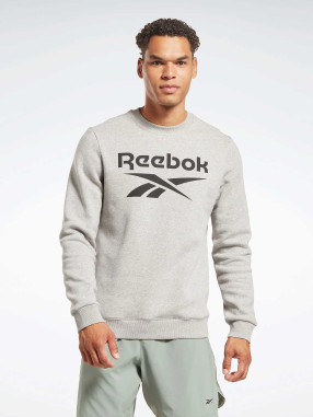 REEBOK Bluza Ft Big Logo Oth