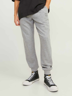 JACK & JONES Pantaloni sport Jpstgordon Shark Sweat Pants Noos