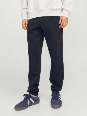 JACK & JONES Pantaloni sport Jpstgordon Star Jj Sweat Gms