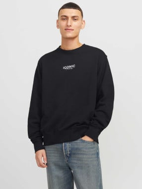 JACK & JONES Блуза JJECHARGE GRAPHIC SWEAT O-N STYD AW24 LN