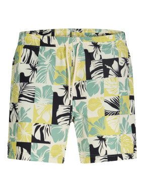 JACK AND JONES Плувни шорти JPSTMAUI FLOWER SEERSUCKER SWIMRRG