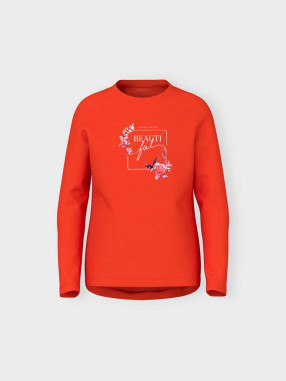 NAME IT Bluza Nkfvix Ls N1