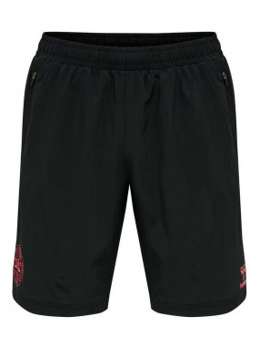 HUMMEL TEAM DANSK Shorts