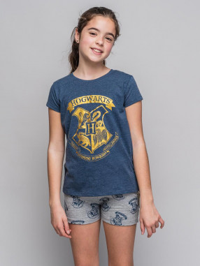 CERDA Set 2 piese Harry Potter