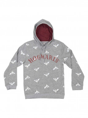 CERDA Παιδική Μακρυμάνικη Μπλούζα HARRY POTTER