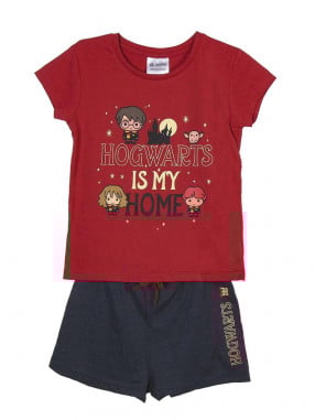 CERDA Set doua piese Harry Potter