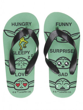 CERDA Slapi The Mandalorian