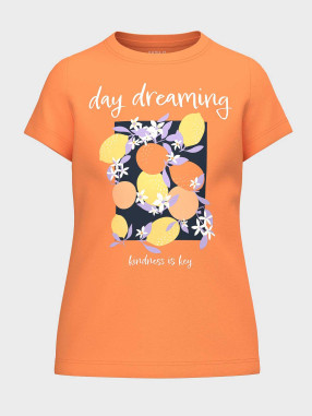 NAME IT Tricou Nkfjanine Ss Top Pb