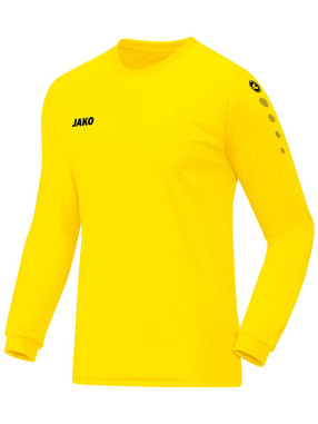 JAKO Блуза Jersey Team L/S