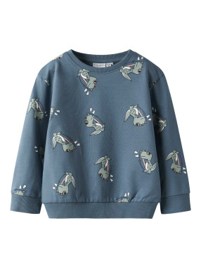 NAME IT Bluza Nmmvermo Aop