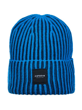 ICEPEAK Fes Hibbing Jr