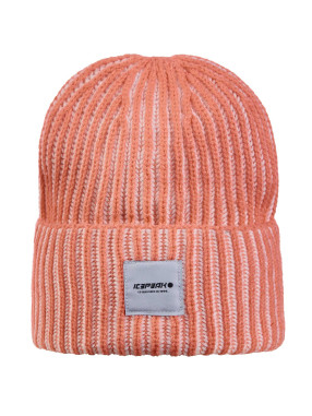 ICEPEAK Fes Hibbing Jr