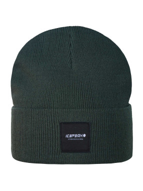 ICEPEAK Fes iarna Harcourt