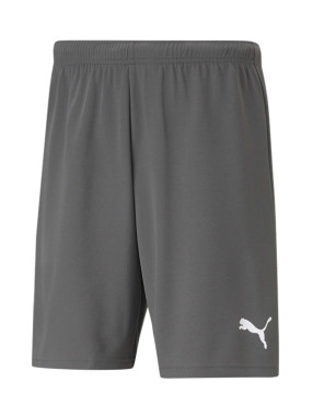 PUMA TEAMWEAR Къси панталони teamRISE